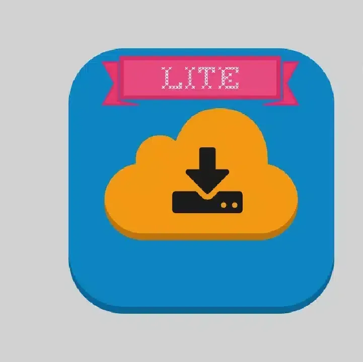 1DM-Lite.webp
