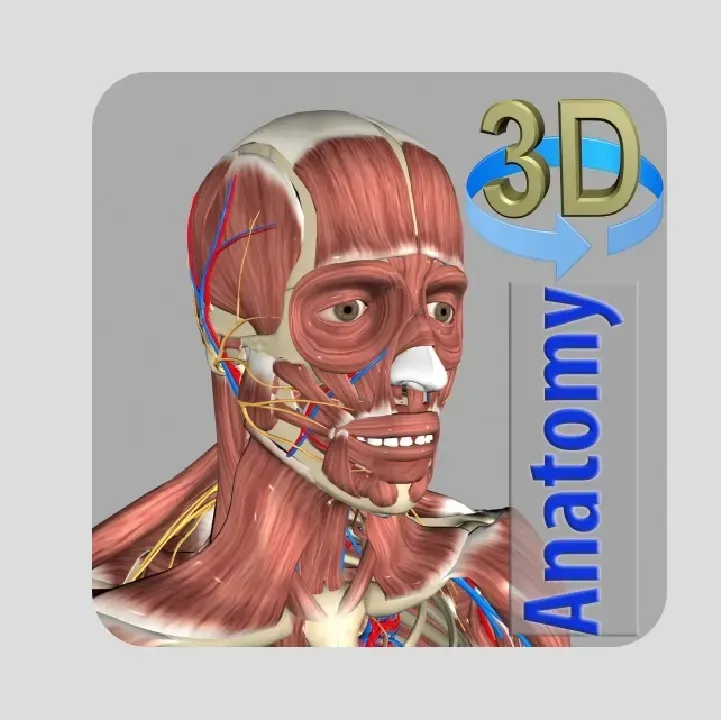 3D-Anatomy.webp