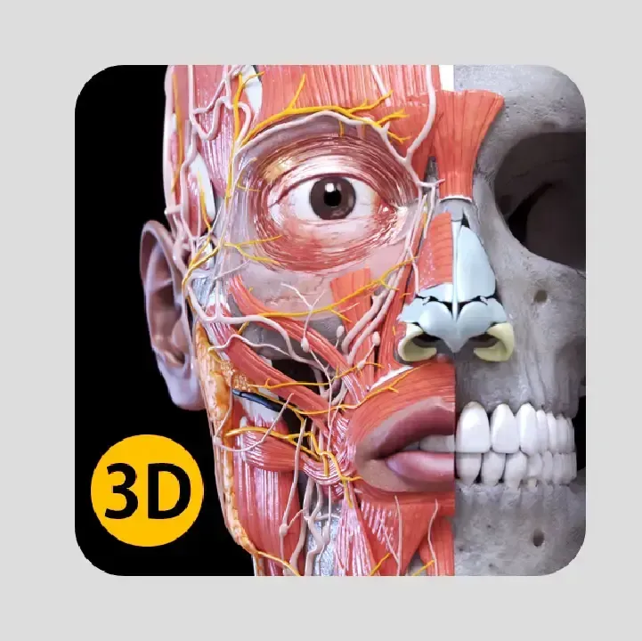 Anatomy-3D-Atlas.webp