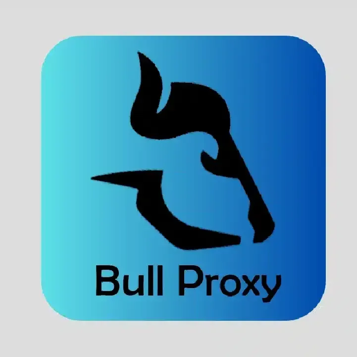 BULL-Vpn.webp