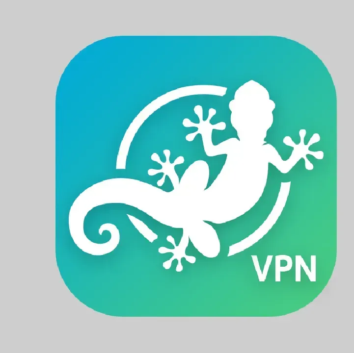 GeckoVpn.webp
