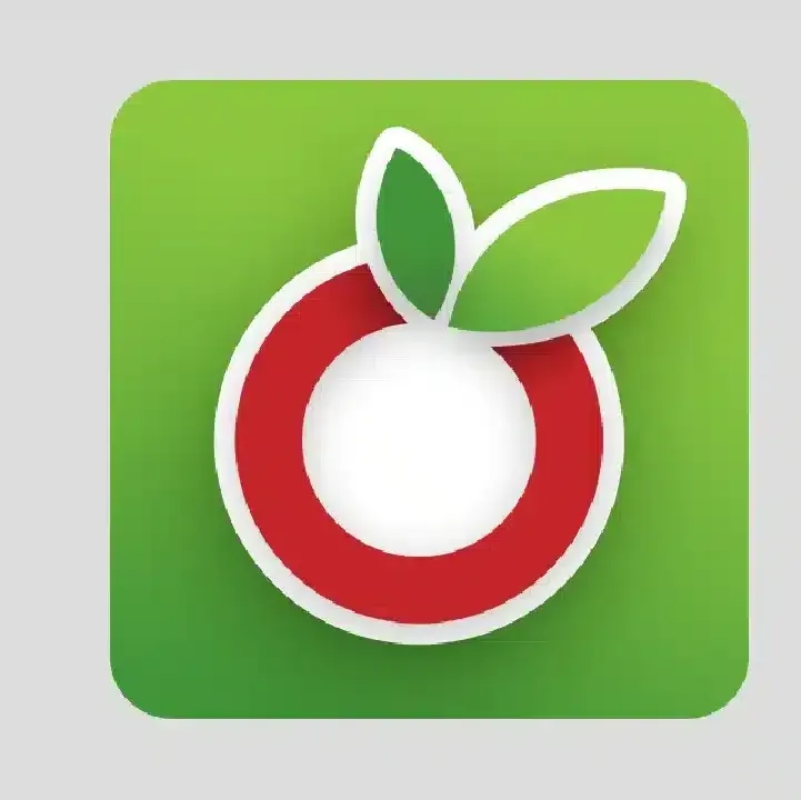 Our-Groceries-Shopping-List.webp