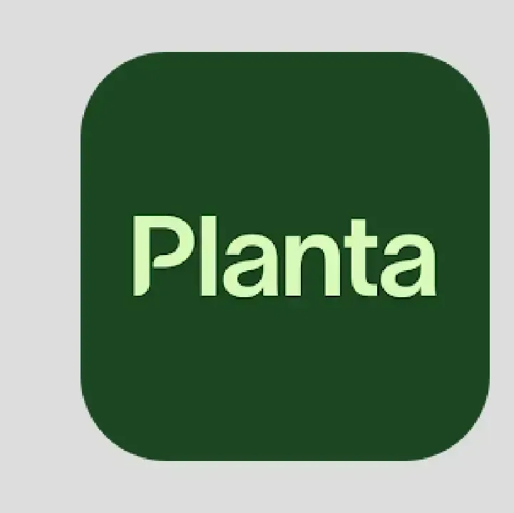 Planta.webp