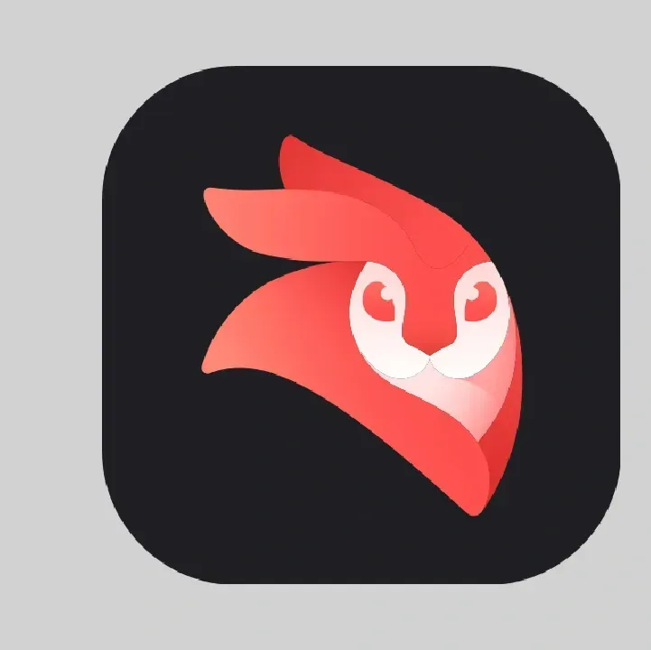 Videoleap.webp