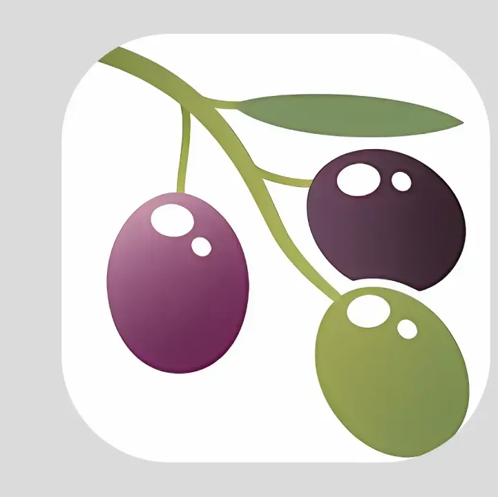 Zat-App.webp