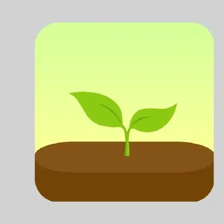 تطبيق-حافظ-على-تركیزك-Forest.webp
